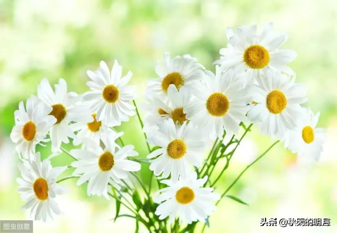 一个女人越低调越有福气,一个有福气的女人要具备十种心态