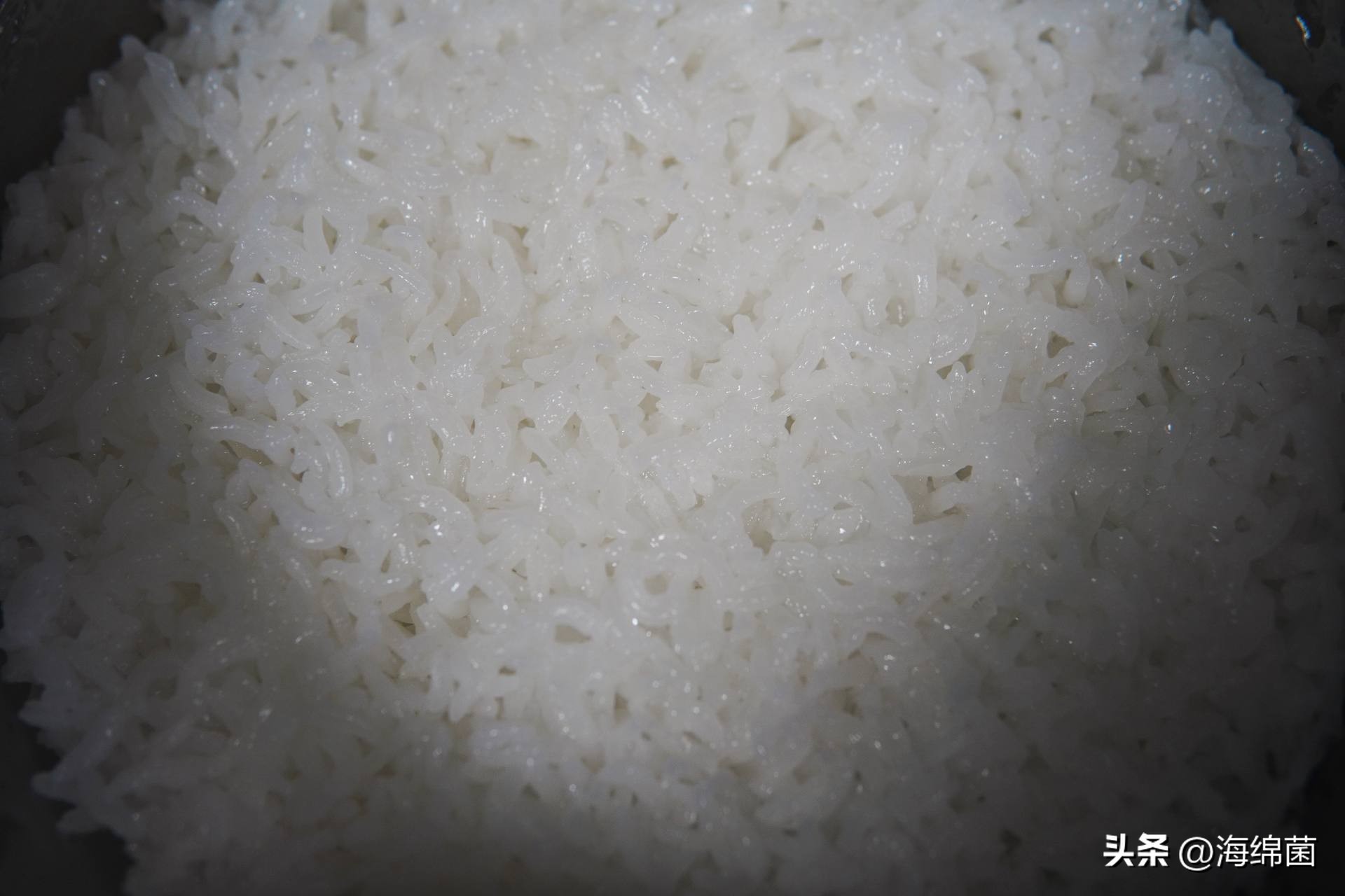 灵魂米饭,灵魂电饭煲