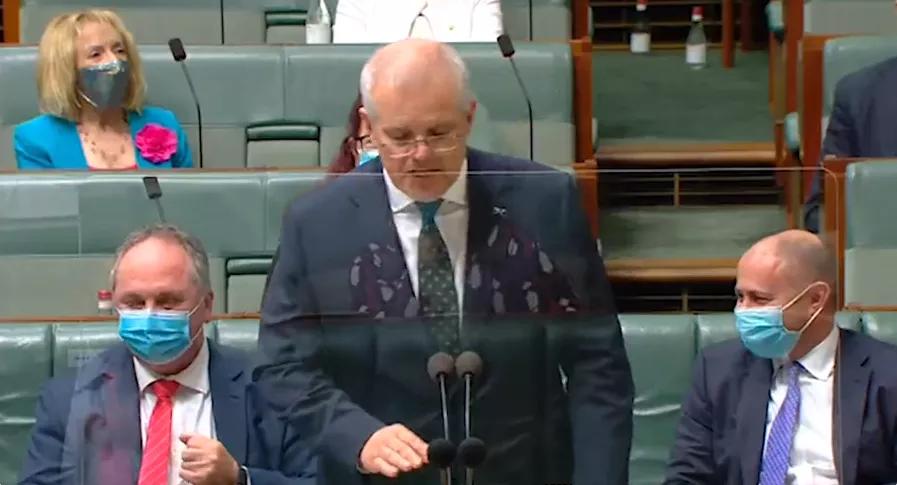 澳议员会议上抠鼻屎，还塞嘴里，视频疯传！疑似新型核酸检测？