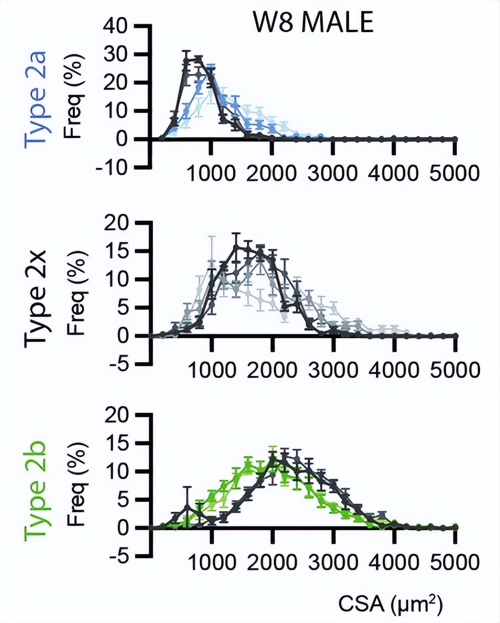 核因子,NFκB,在临床治疗上,是否与腱切断术的肌肉萎缩无关?