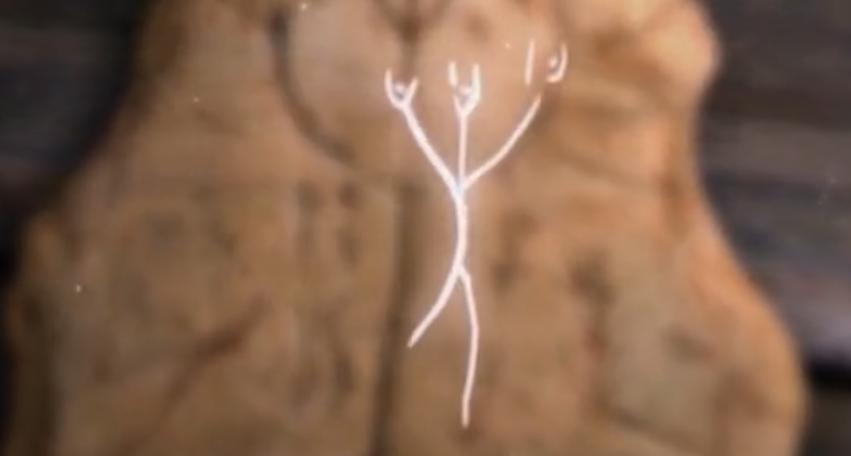 千年人参的传说有哪些呢,还有哪些关于人参的历史