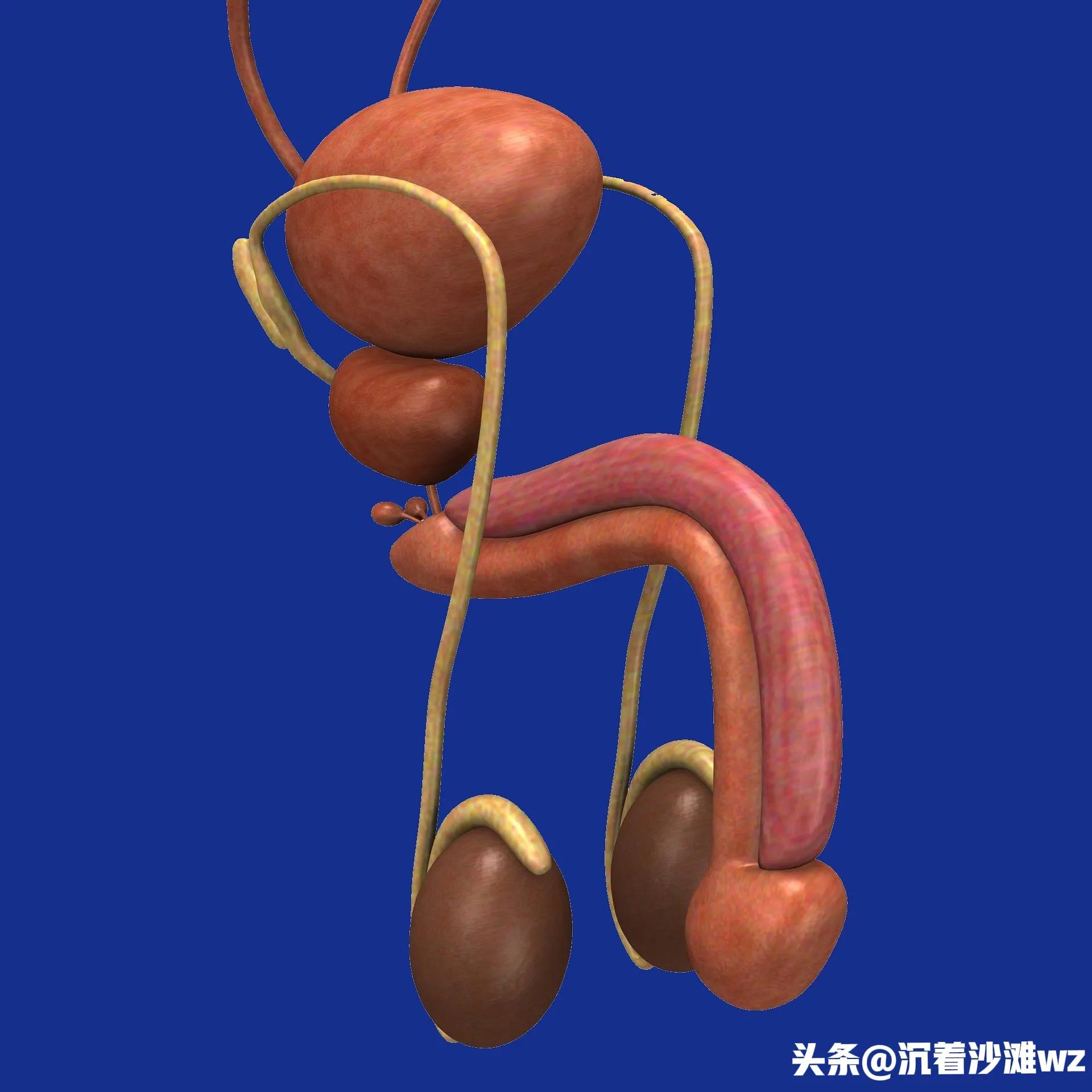 多地“捐精”倡议背后:捐献通过率到底是多少?