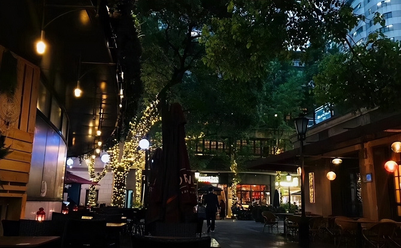 一只神奇的猫咪,一只神奇的猫原版