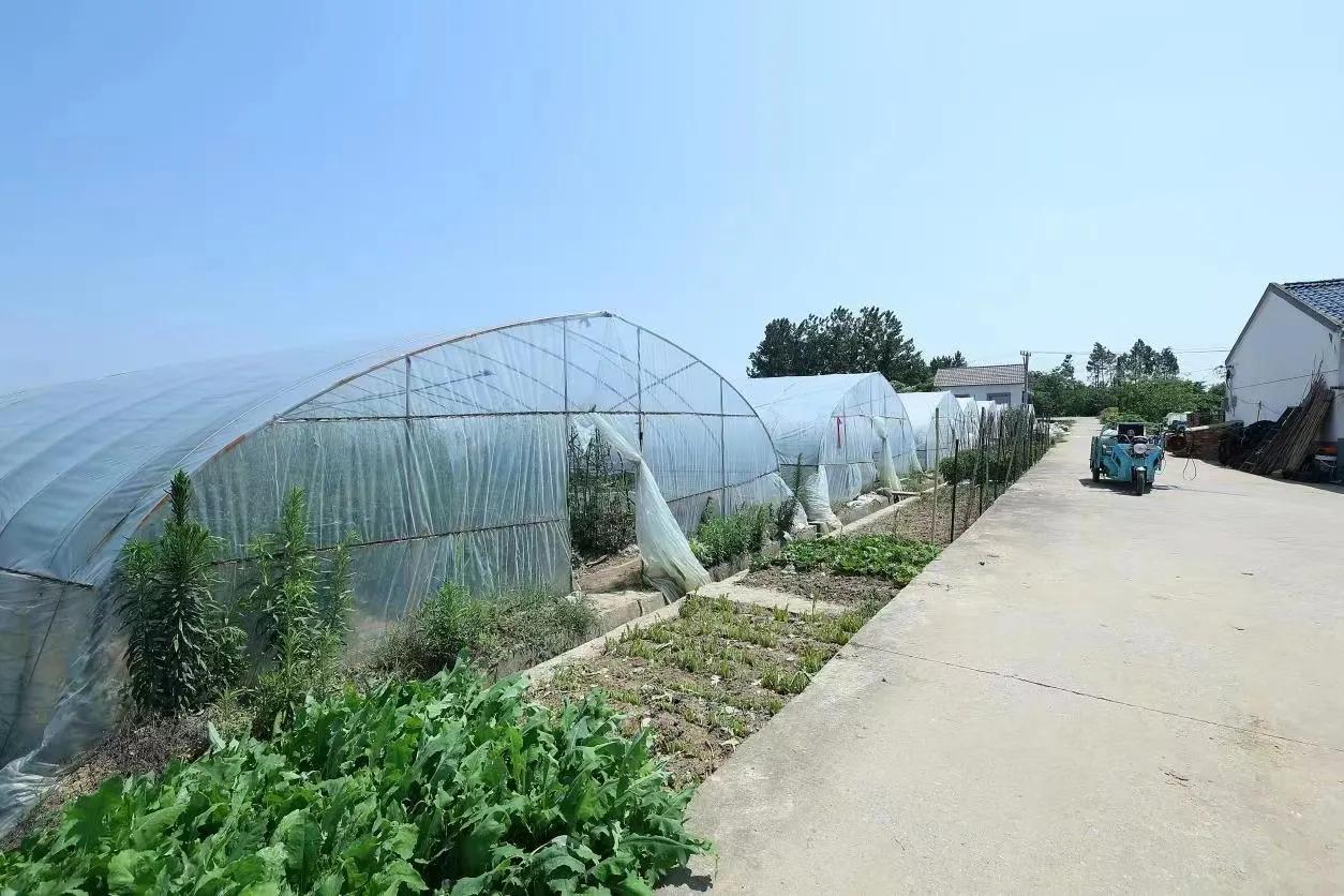 南京市高淳区新时代农人——荀新富：跨界创业“种”出美好新生活