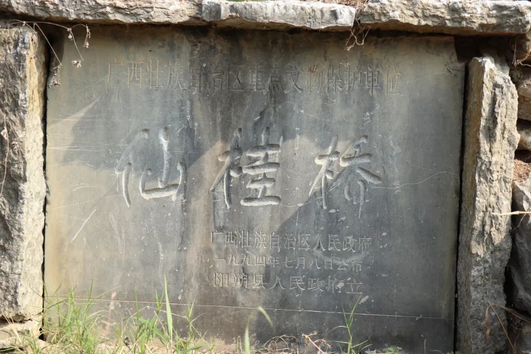 遇龙河里遇见美景,遇龙河每一段的风景