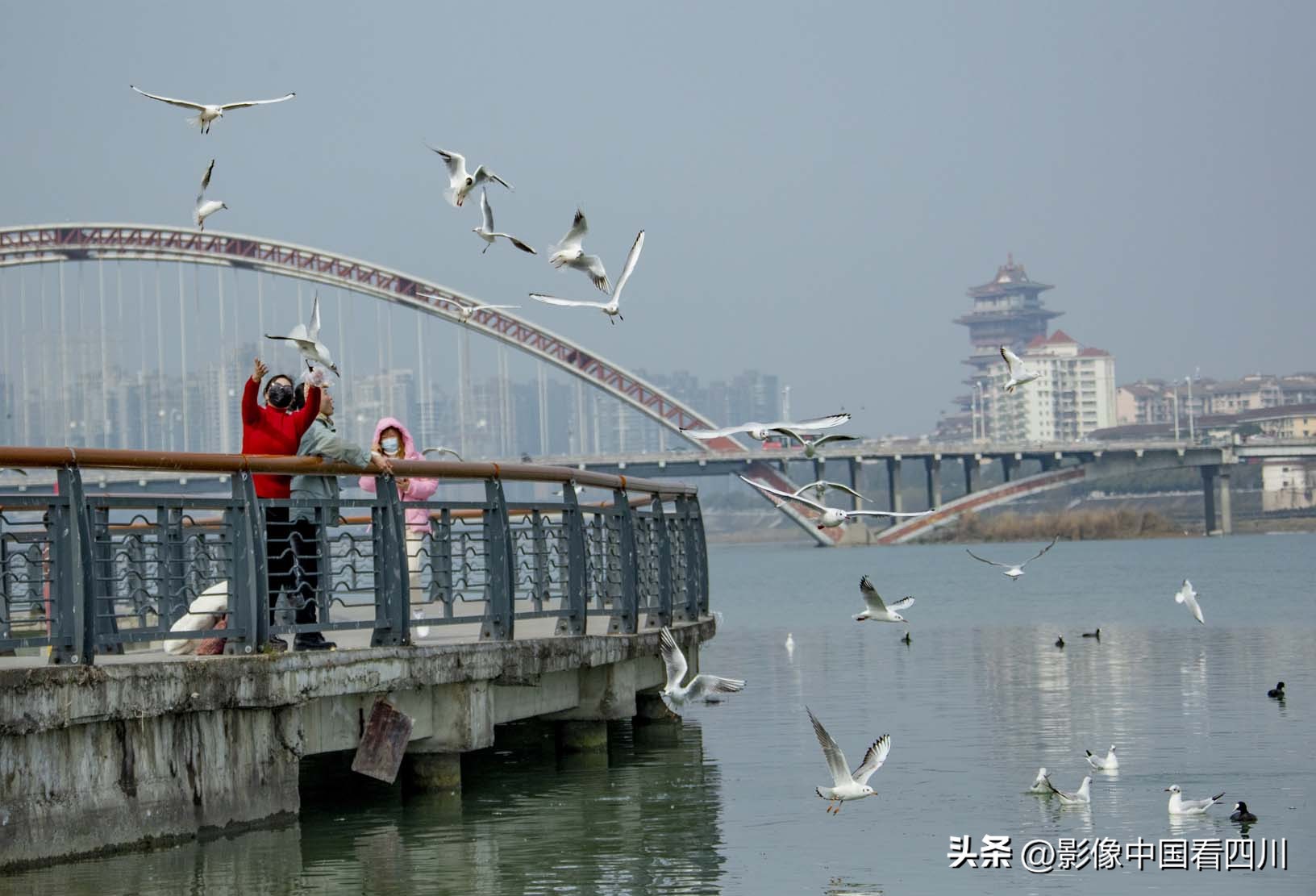 刘国兴的2022年:冬去春来,愿岁月静好(上集)