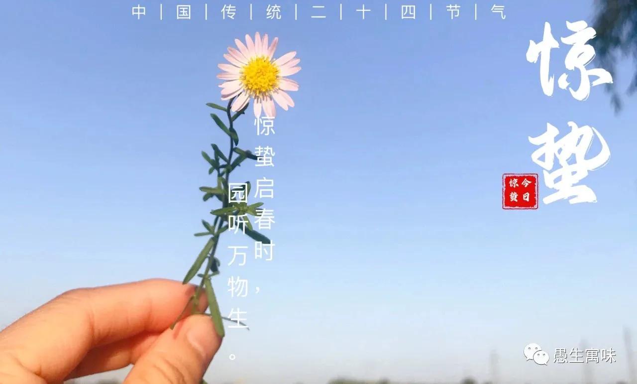 描写仲春的古诗,仲春郊外古诗加拼音视频