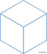 东营泮水公园火爆,东营泮水公园有植物吗