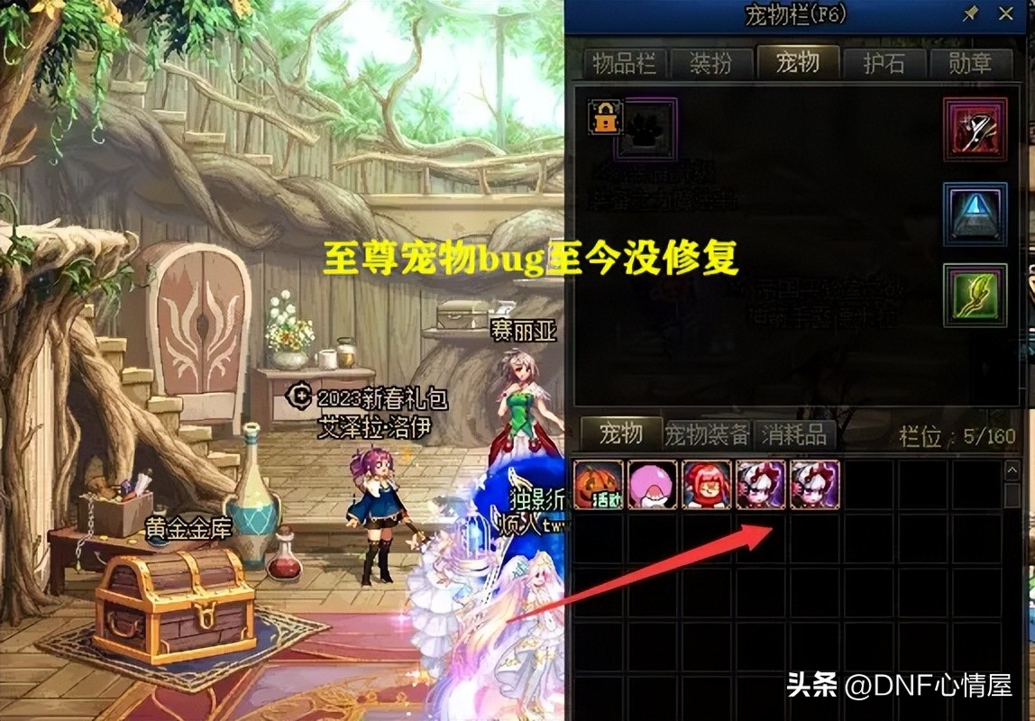 dnf10套春节礼包有什么惊喜,dnf10件春节套有宠物至尊宝珠吗