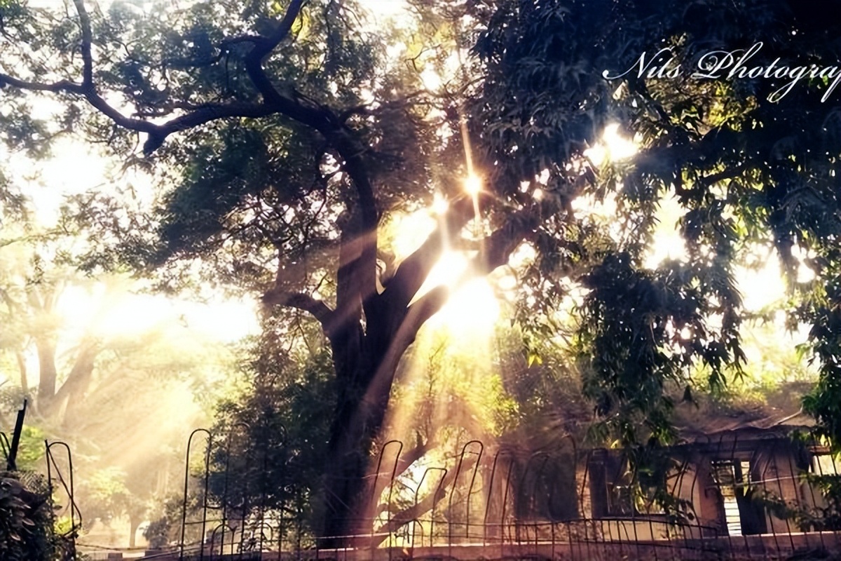 幽默文案人生感悟句子简短,经典哲理文案100句