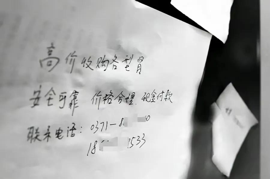 10年前卖肾买苹果手机的高三学生，获赔147万，如今肠子都悔青了