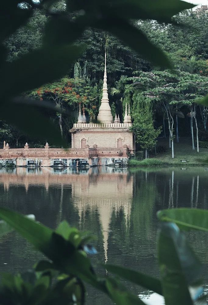 西双版纳旅游攻略两分钟视频,西双版纳旅游攻略摄影