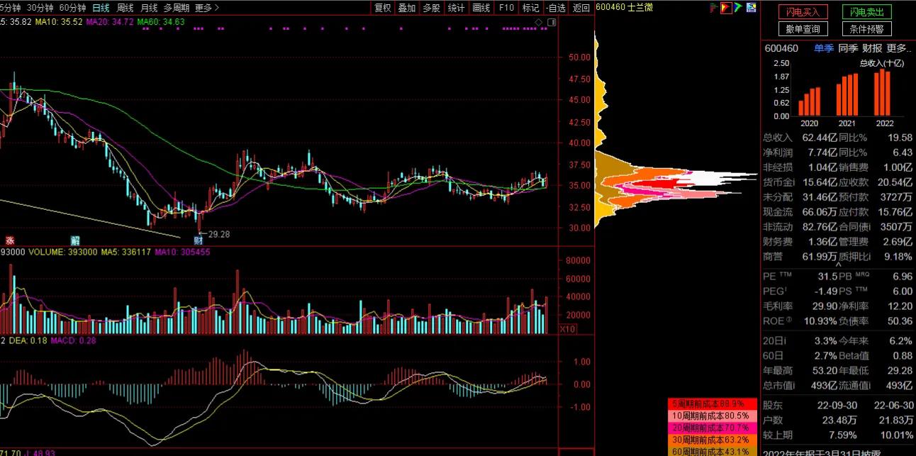 半导体十大龙头企业士兰微,深度分析士兰微芯片