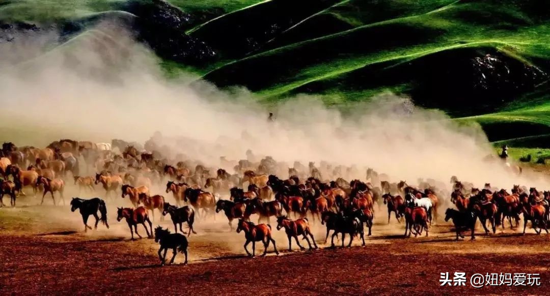 这几部口碑爆棚的宝藏纪录片,国庆孩子必看的8部神级纪录片