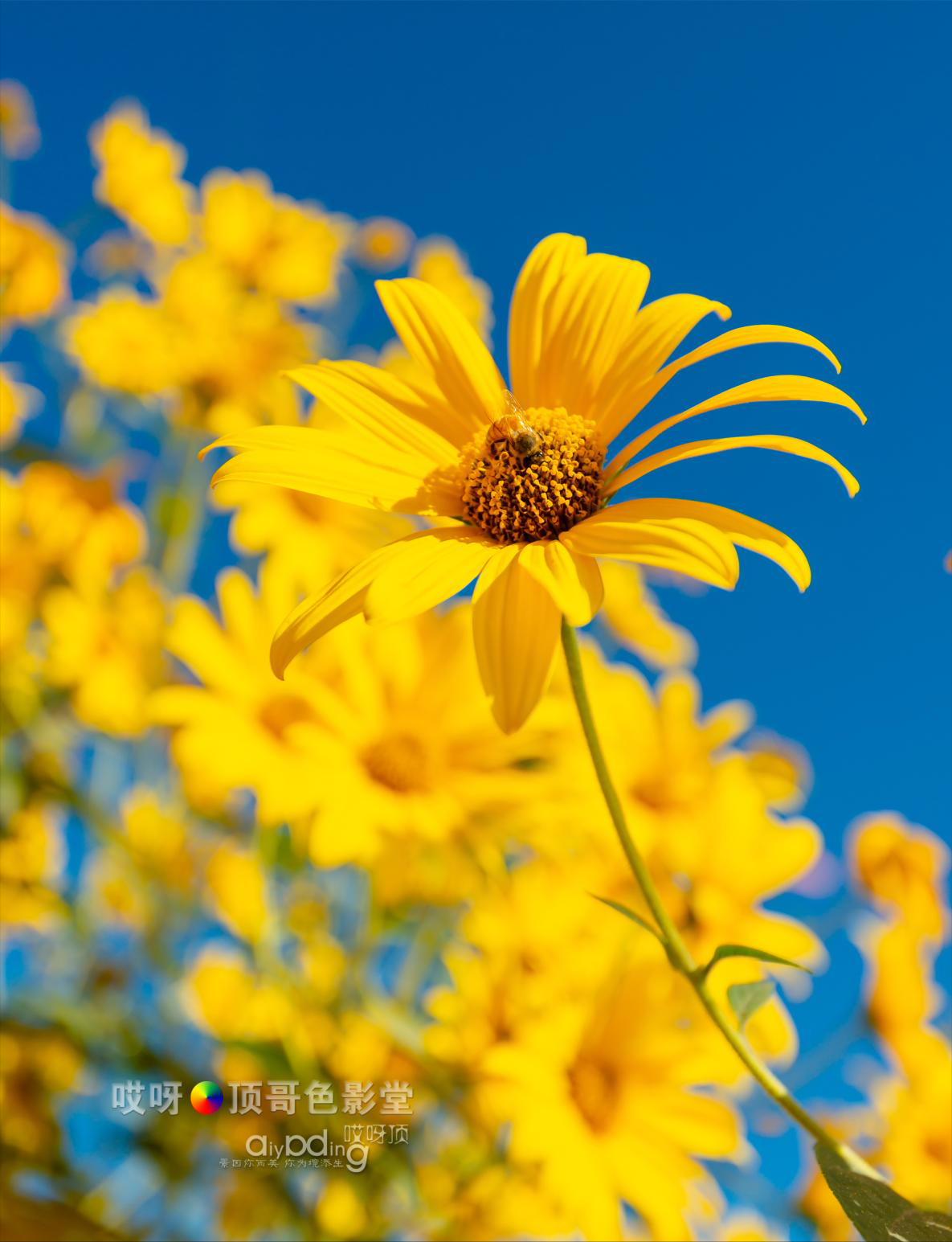 女司机带娃去新疆自驾游,带着女司机自驾游兰州