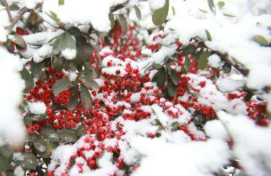 2022年春天是倒春寒吗,2023年春季冷不冷