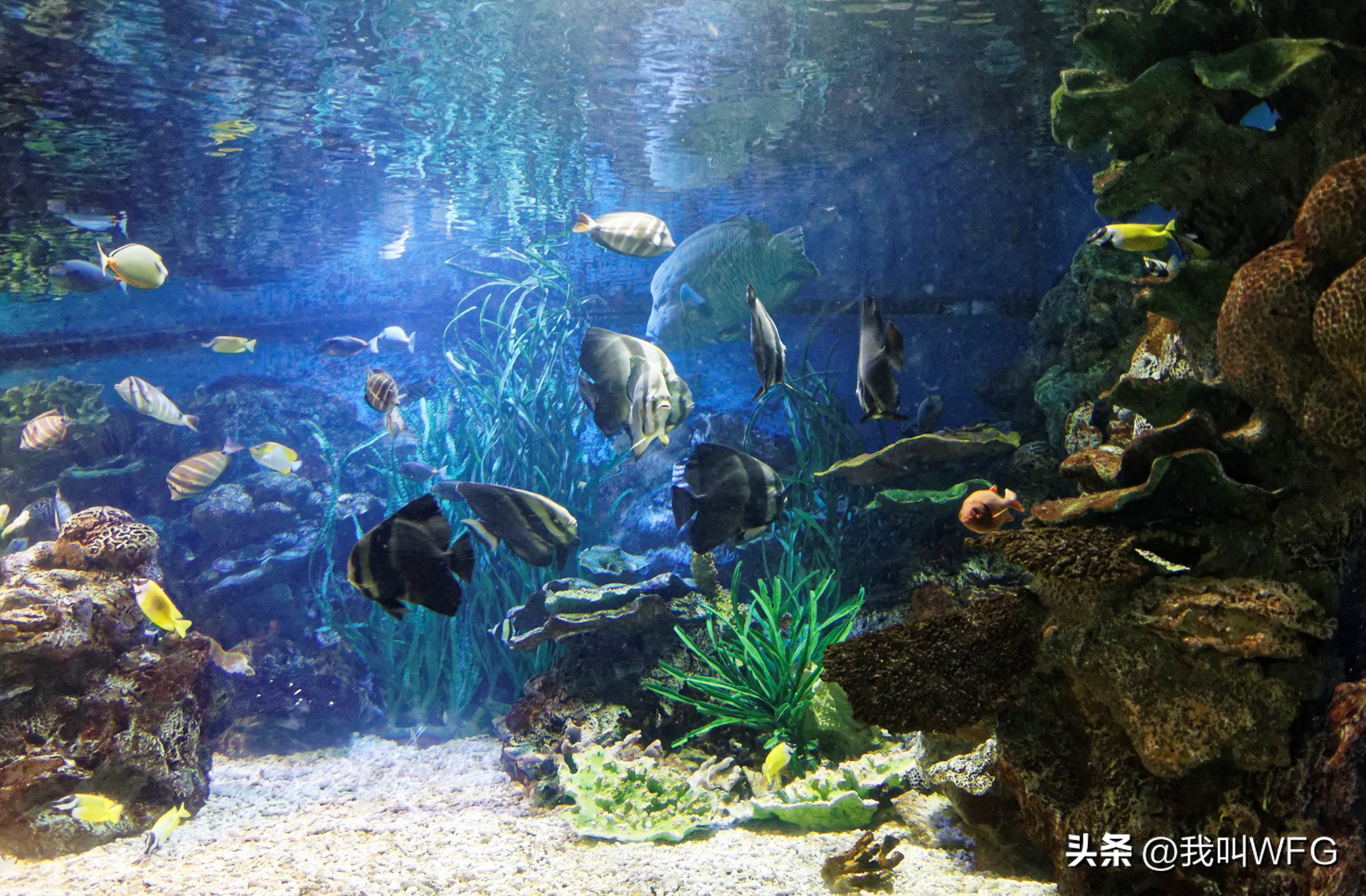 五一请到我的城市吃美食话题,五一去一个没有人知道的城市