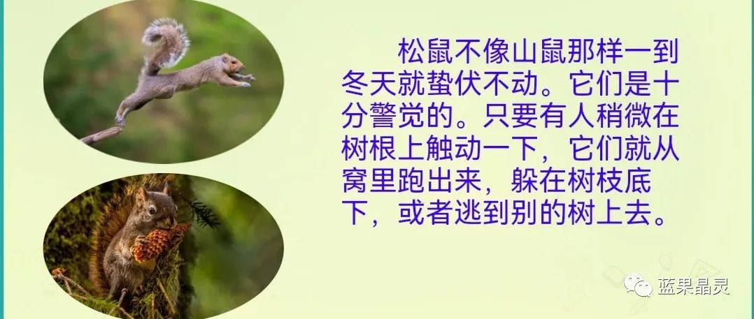 四下语文:第2单元课本内容(复习+练习)