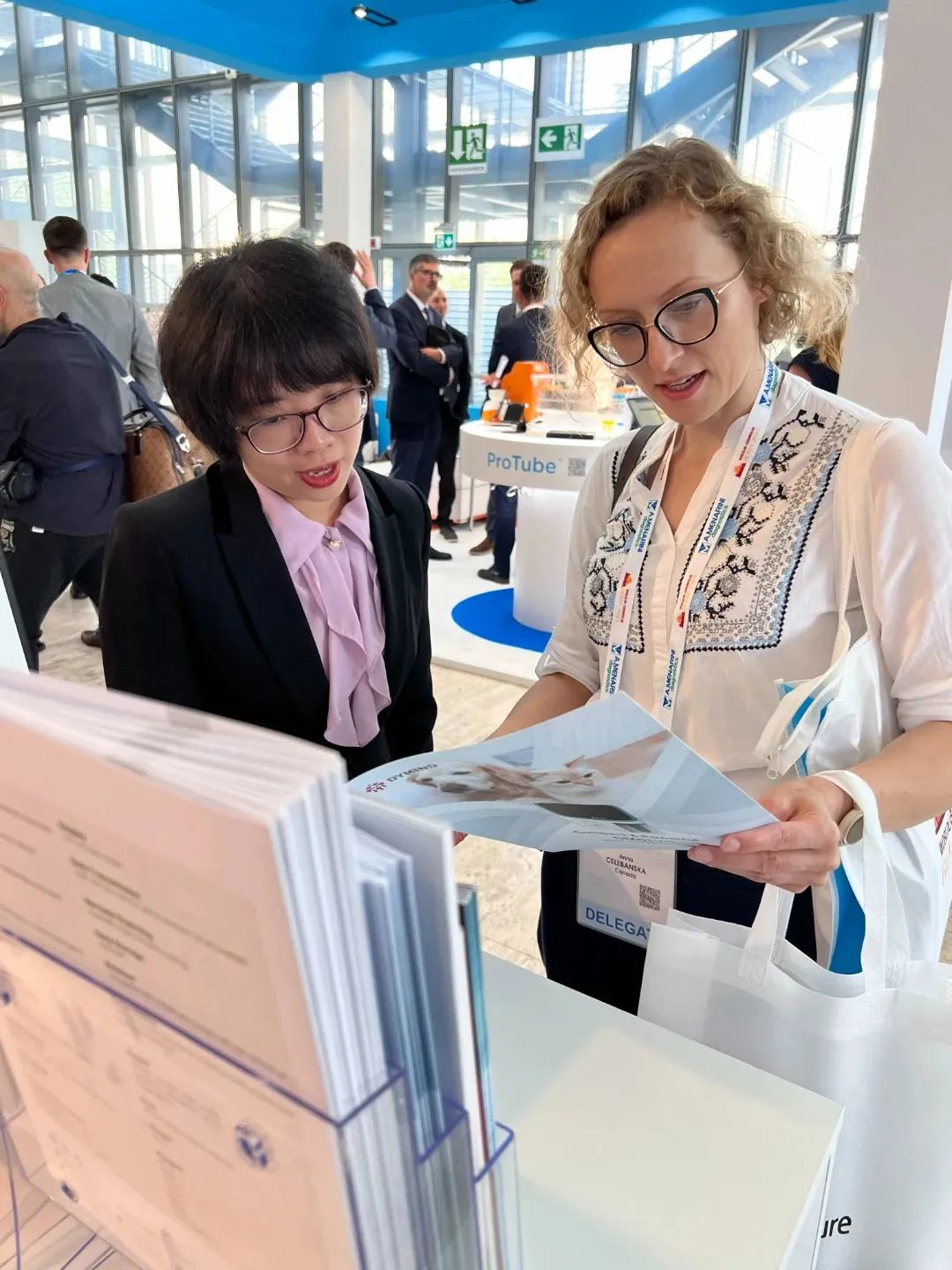 甯濊繄鏃呰,甯濊繄鑻辨枃