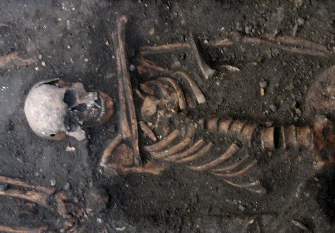 不要亲亲，亲亲会传染