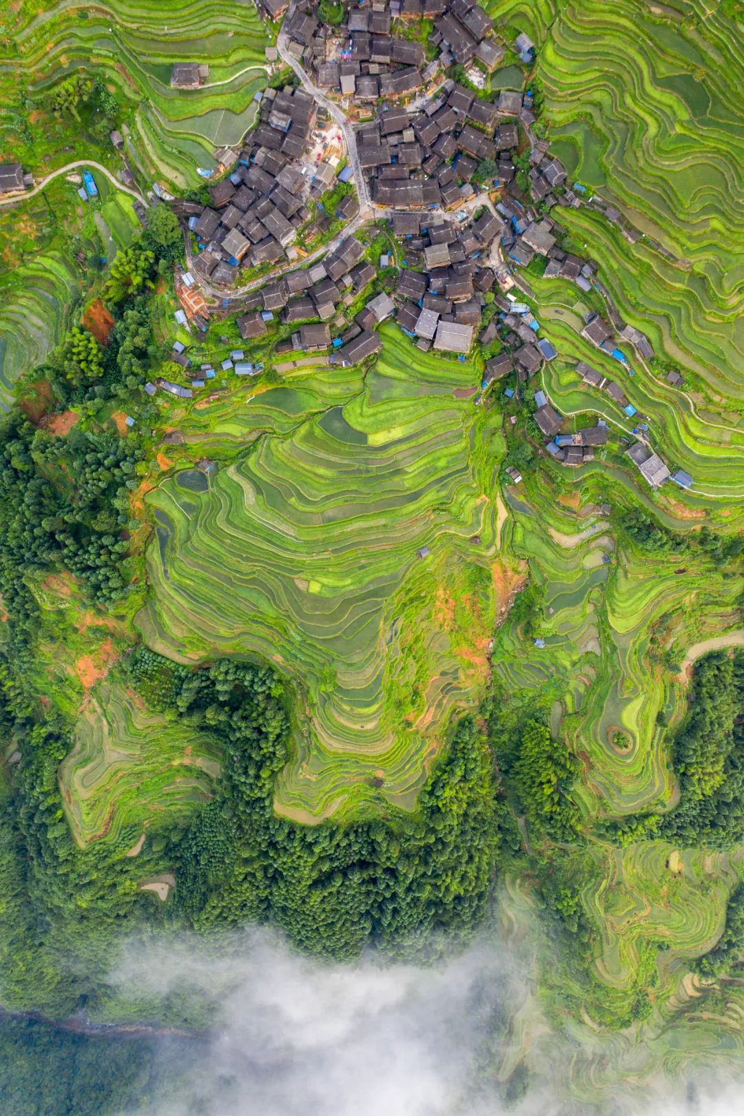 怎样才能了解中国真正的历史,怎样了解中国的全部历史