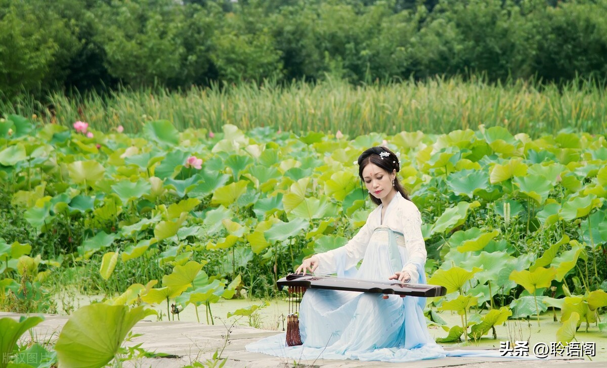 三八节到了如何赞美女人,三八妇女节赞美女性的图片