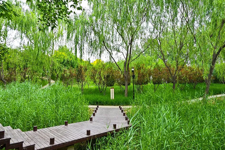 北京免费景美公园大全,北京这个公园也很美