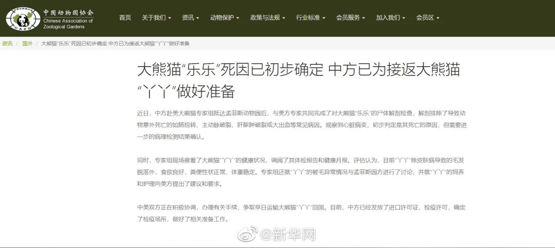 甲流和新冠症状上有哪些区别图片,甲流和新冠症状的区别