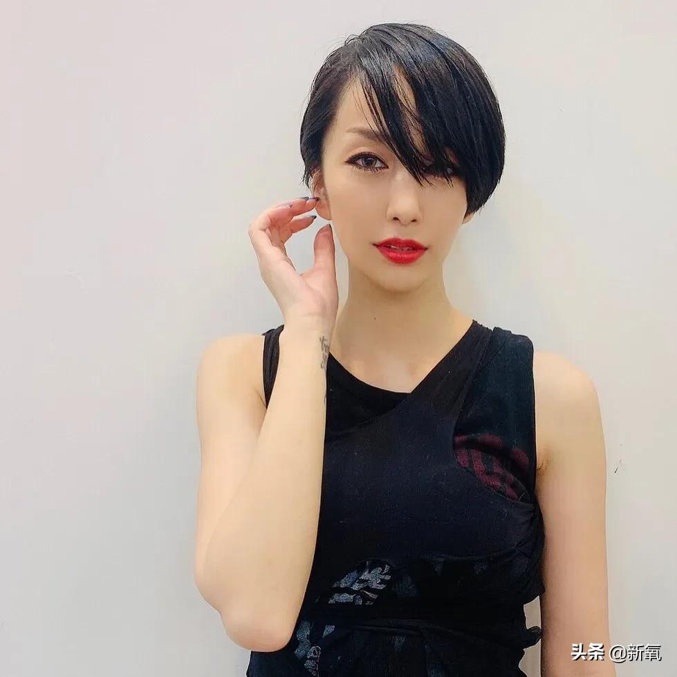 中岛美嘉传奇人生,中岛美嘉的经历