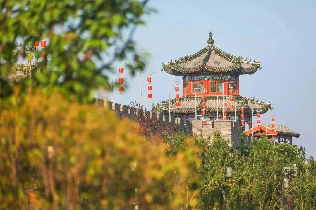 青龙黄龙白龙是什么仙,青龙白龙赤焰龙玄龙出处