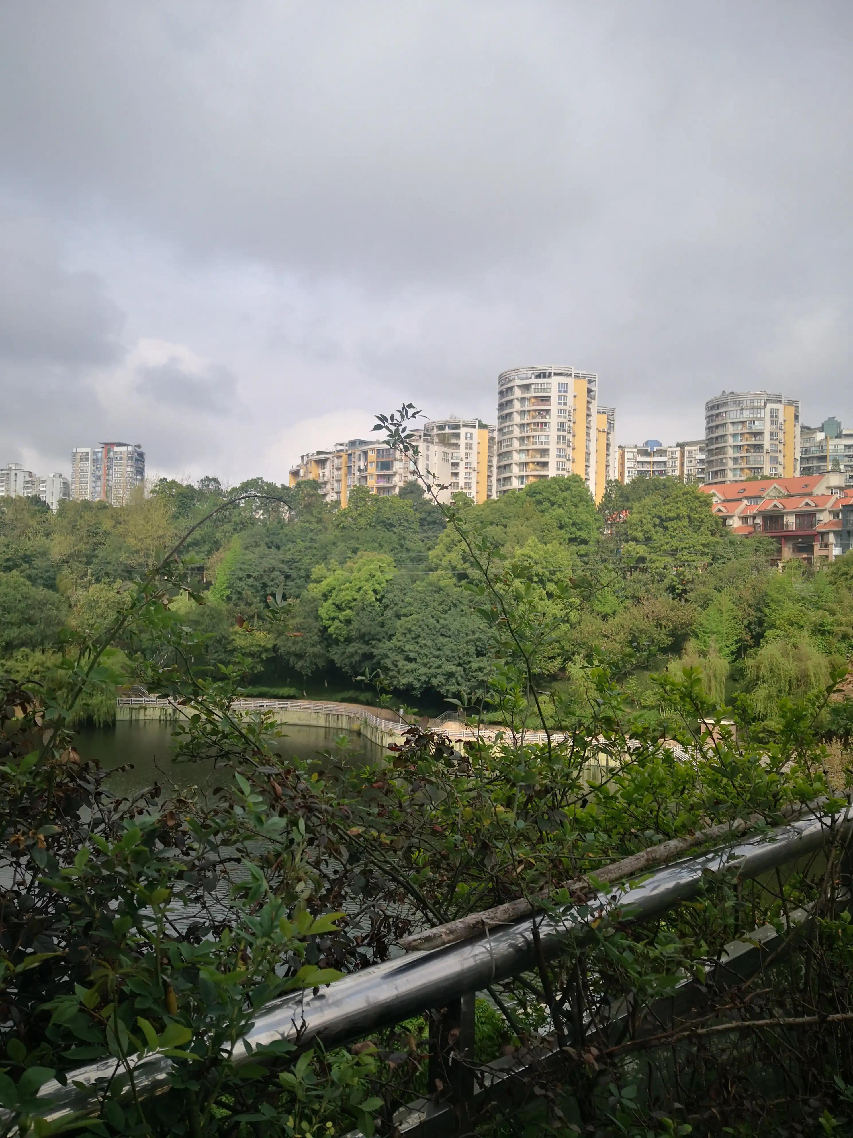 买房容易被骗国家采取了什么措施,新手买房如何防止被骗