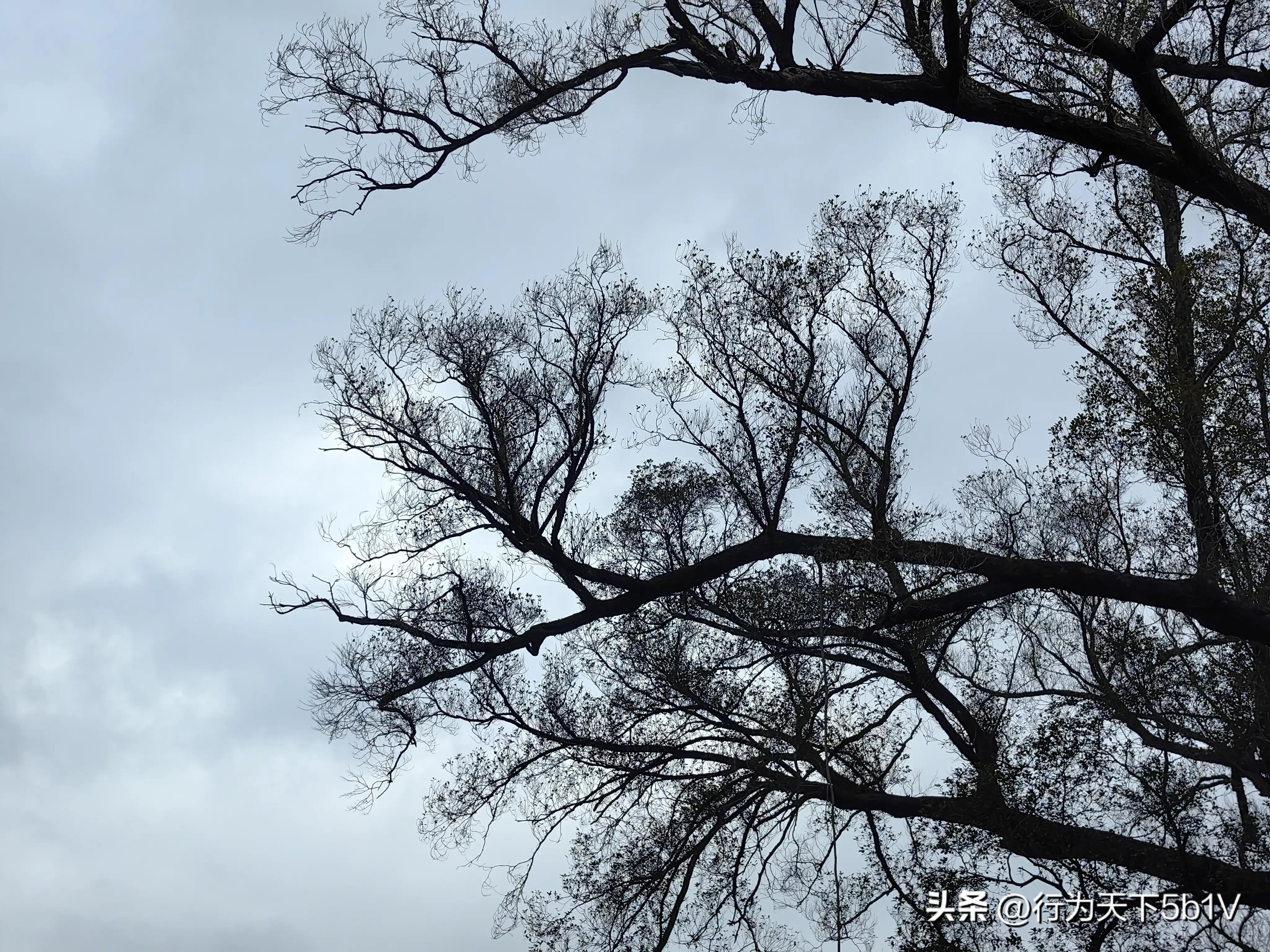 【平乐十里画廊鬼斧神工伟人石像】穿越唐*平宋**乐榕津千年古镇！