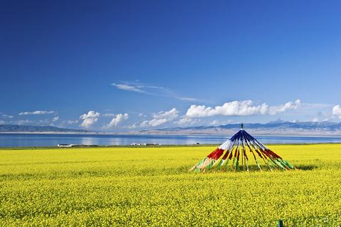 艳哉此雏，谁氏子也？