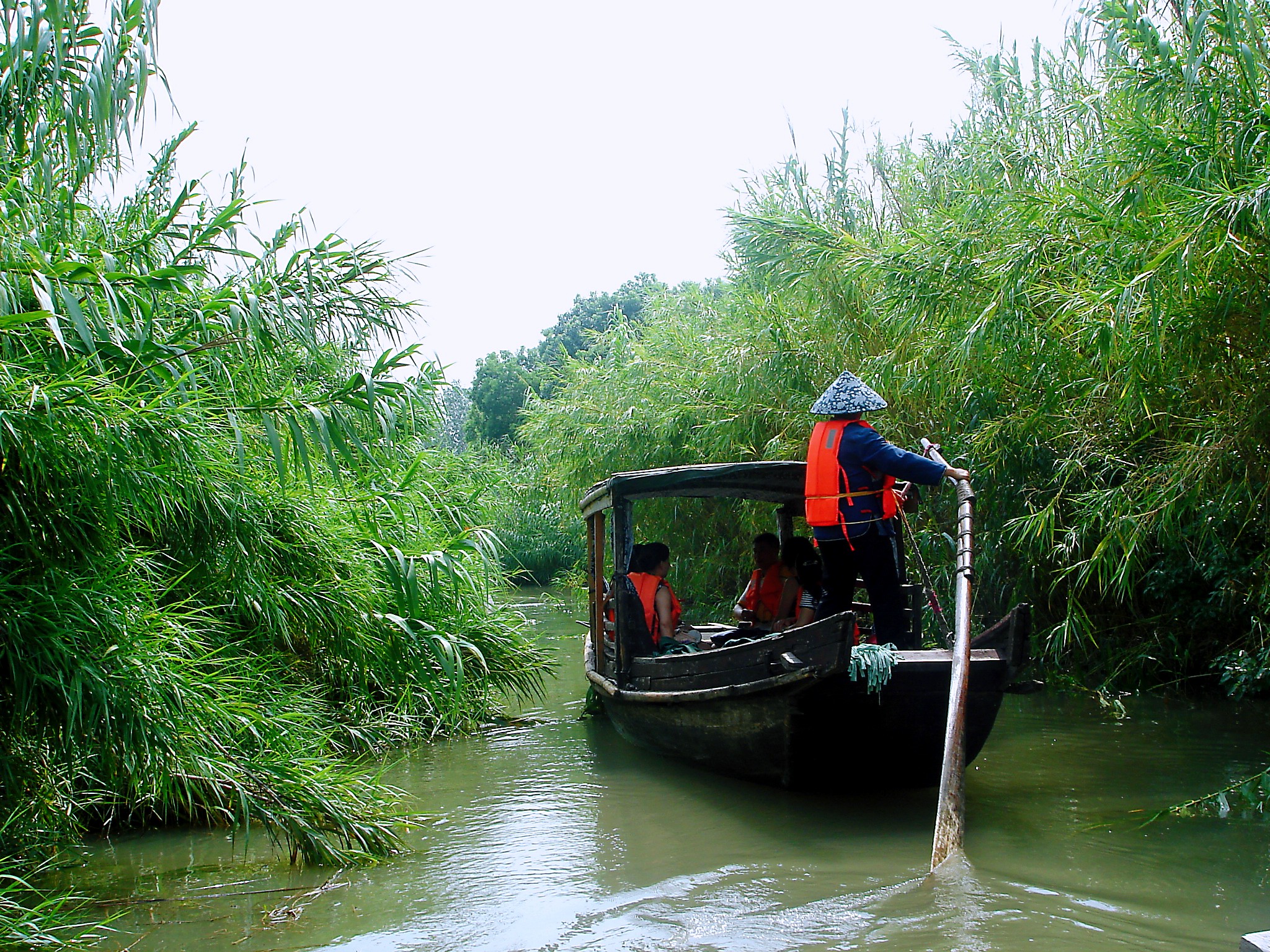 真正的原生态湿地穿行在沙家浜芦苇荡追寻阿庆嫂郭建光的足迹