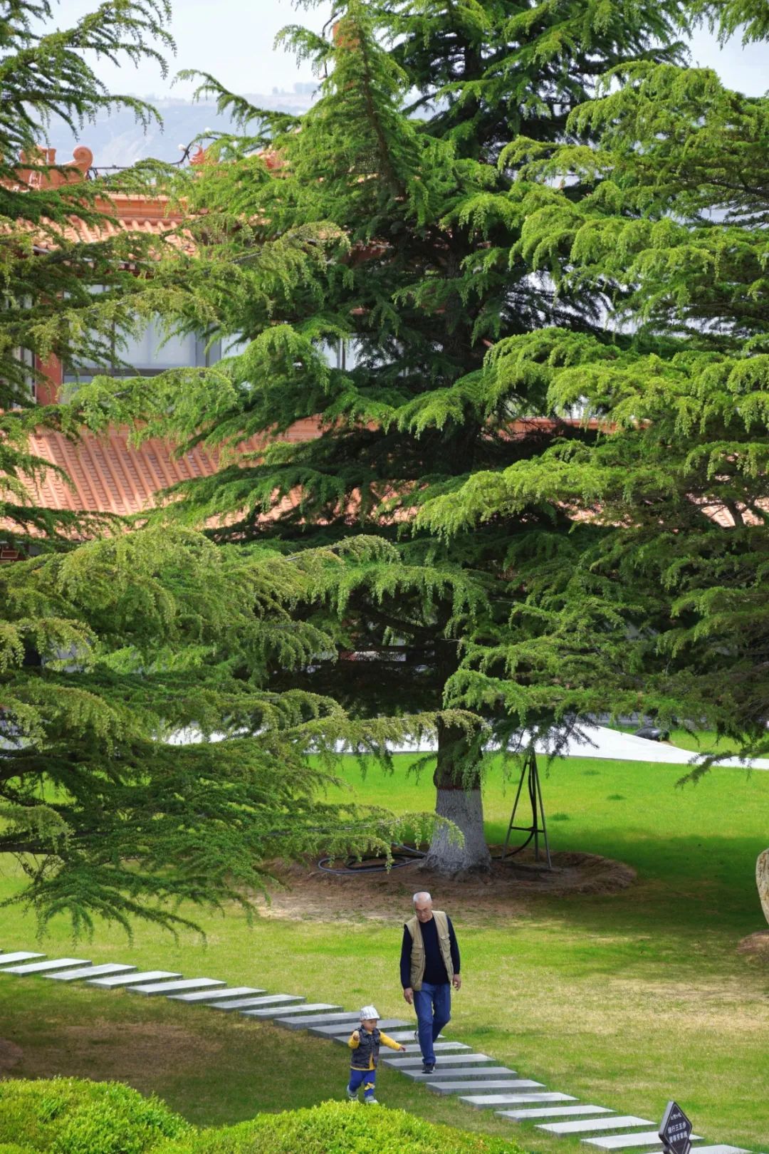 国内最chill的城市，我想投它一票