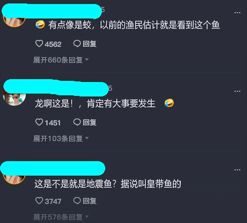 地震鱼现身日本代表什么,地震鱼现身和2020的灾难