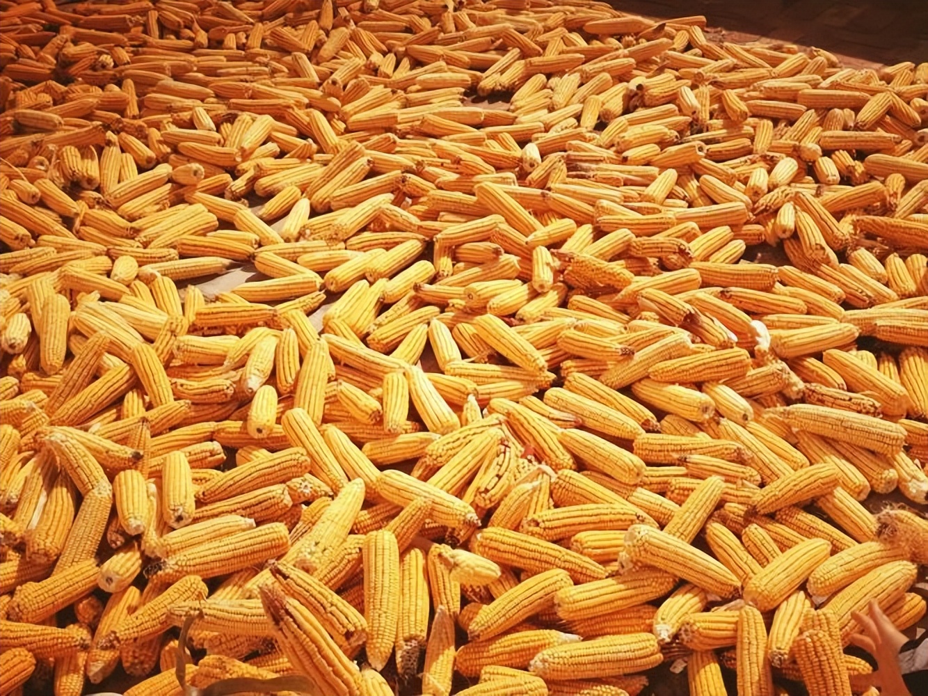 反制美国关税最新消息,反制美国限制技术出口