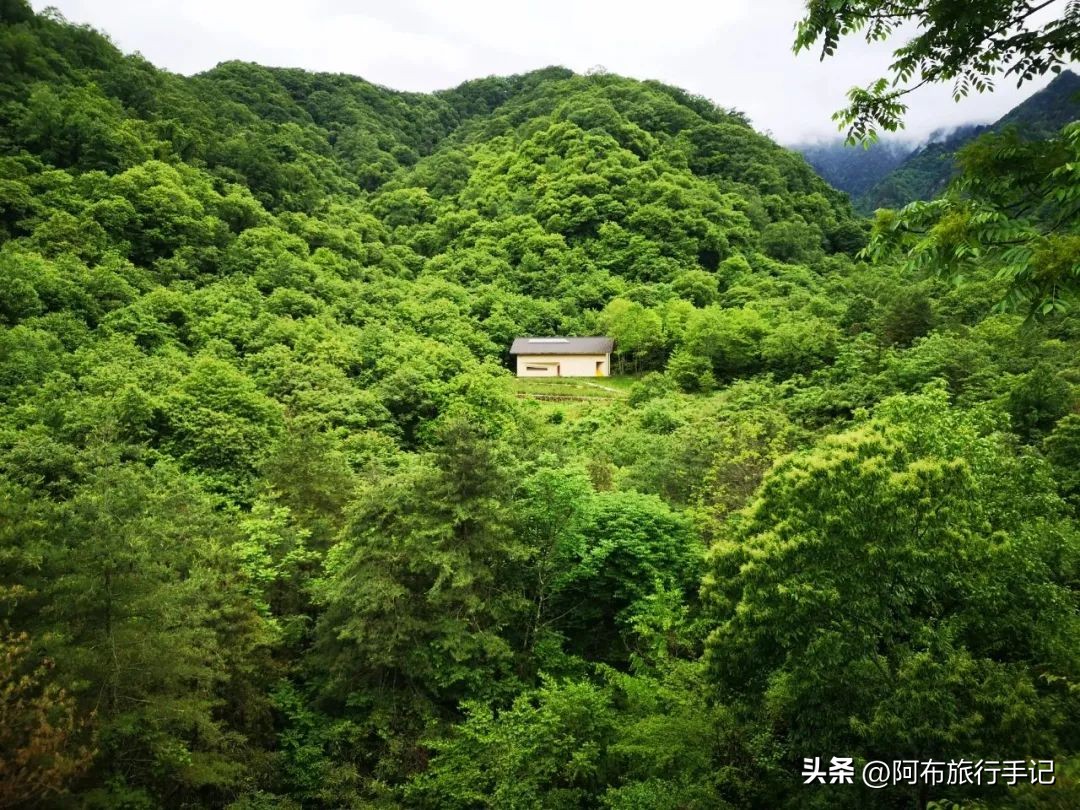 还没来得及去日本，却在秦岭来了趟值回东京票价的旅行