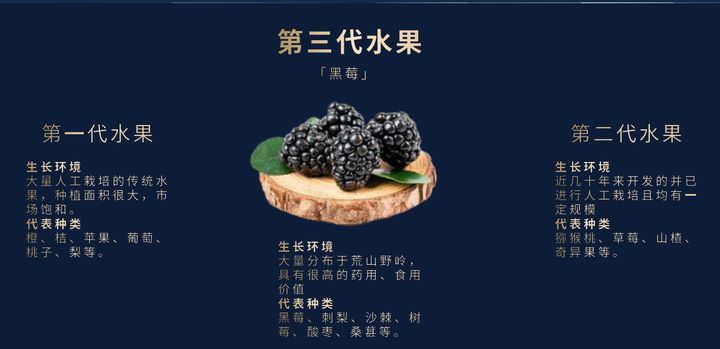 黑莓水果之王,生命之果黑莓