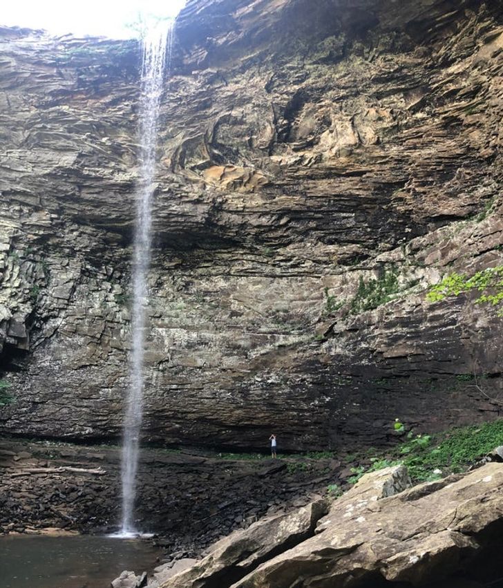 50个稀世珍宝,50个罕见的巨物让人惊叹