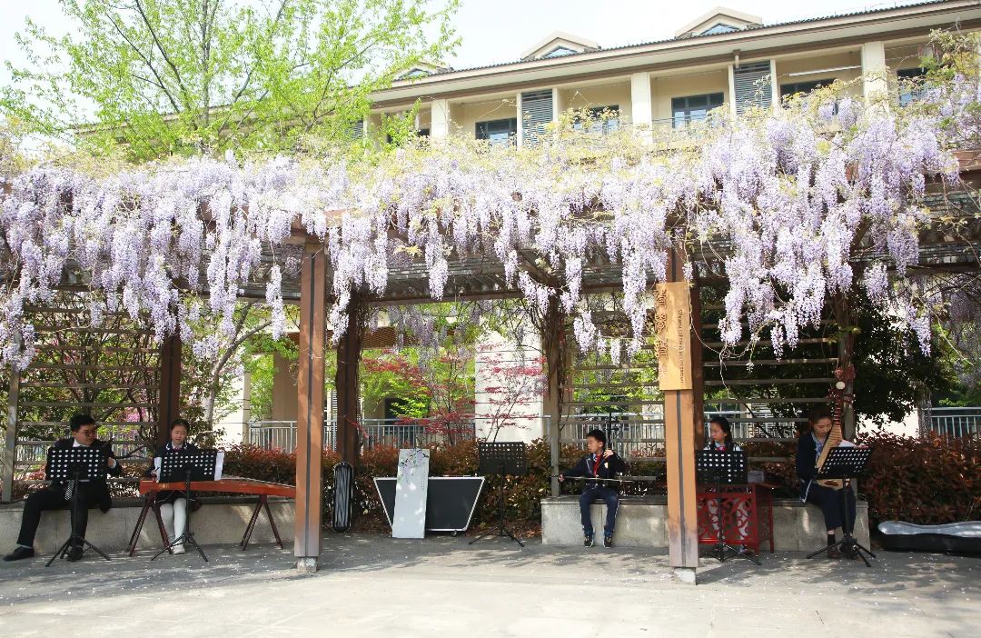 张家港义务教育入学通知书,张家港义务教育招生平台如何操作