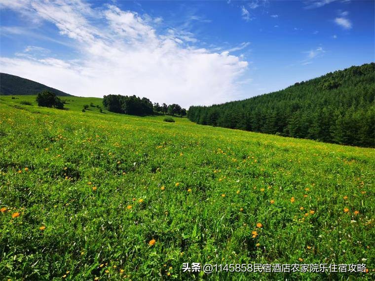 承德丰宁大滩住宿,丰宁大滩坝上草原民宿