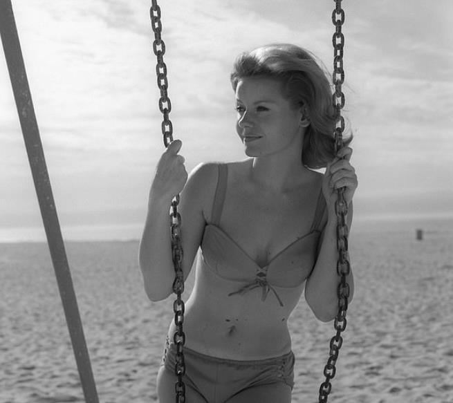 李小龙莎朗法雷尔,莎朗·法雷尔图片