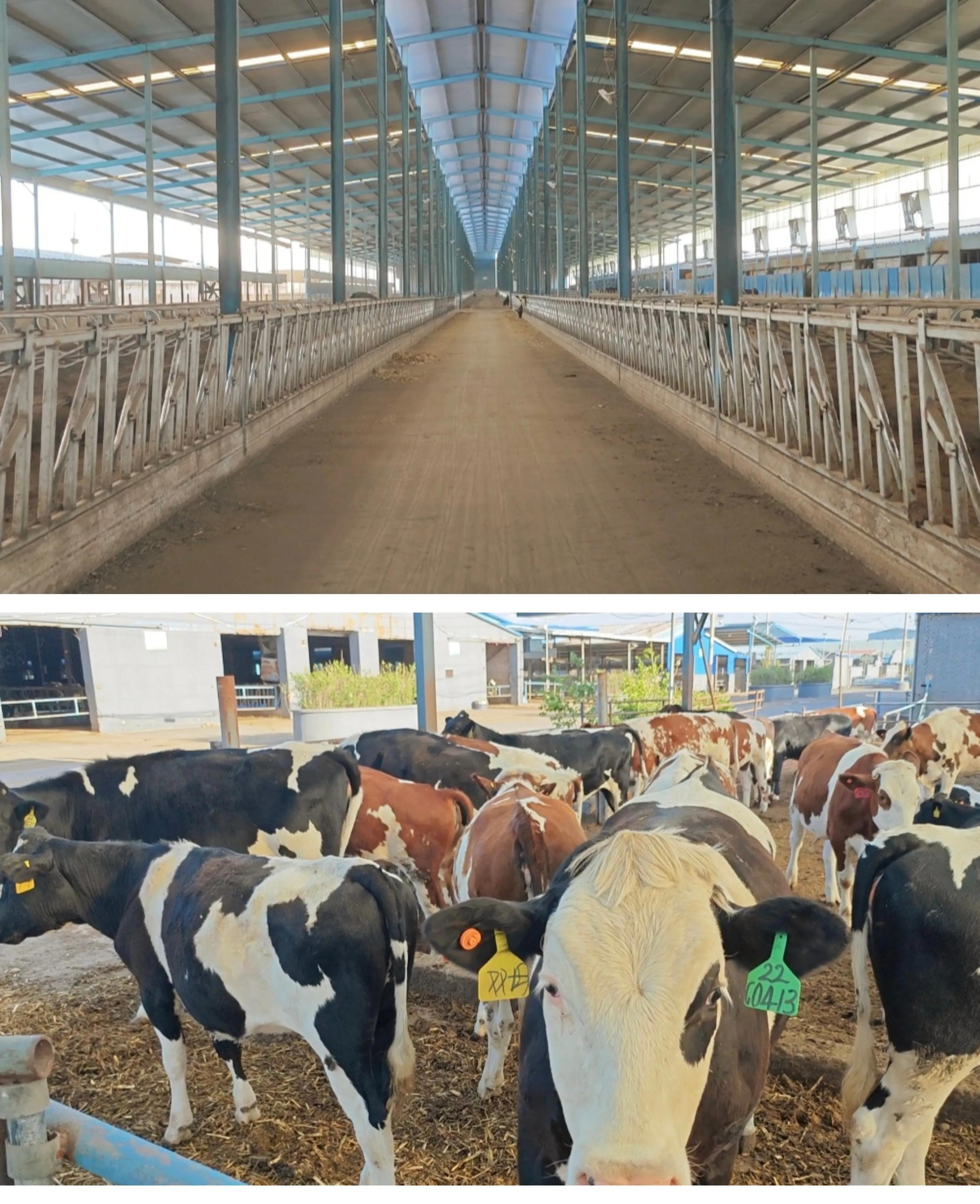 王殿辉山西,山西王殿辉