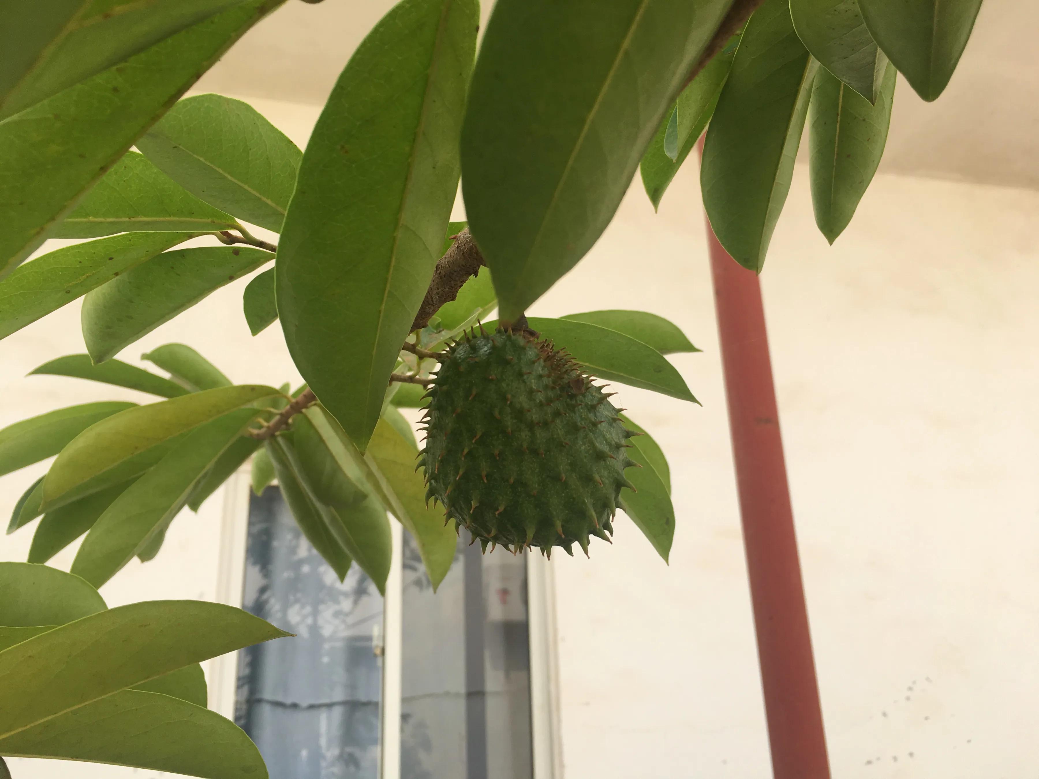 蹇冭矾鍘嗙▼782,蹇冭矾鍘嗙▼0218