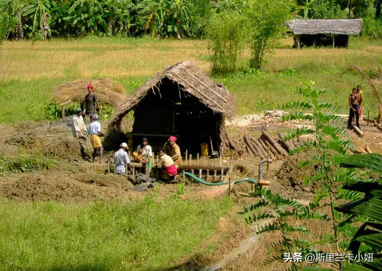 斯里兰卡宝石城在什么地方,斯里兰卡宝石人