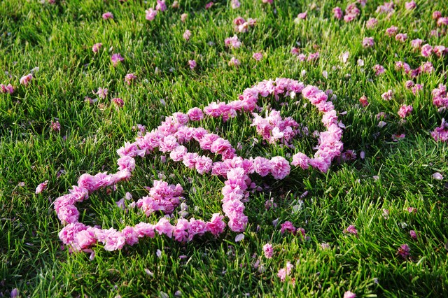 成语词性分类及用法总结,辨析成语使用中的几种常见错误