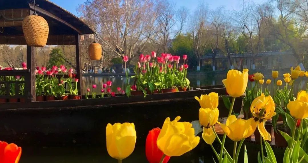 翠湖博物馆群地图,翠湖博物馆群