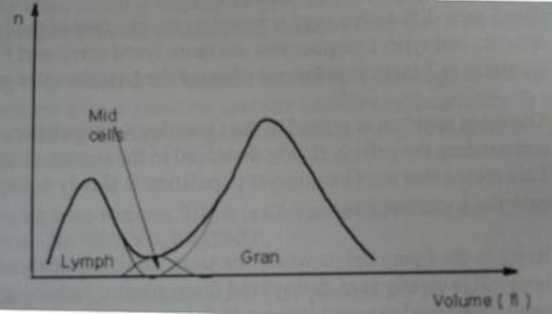 犬猫血常规化验单详细解读,犬猫血涂片中的各种细胞图解