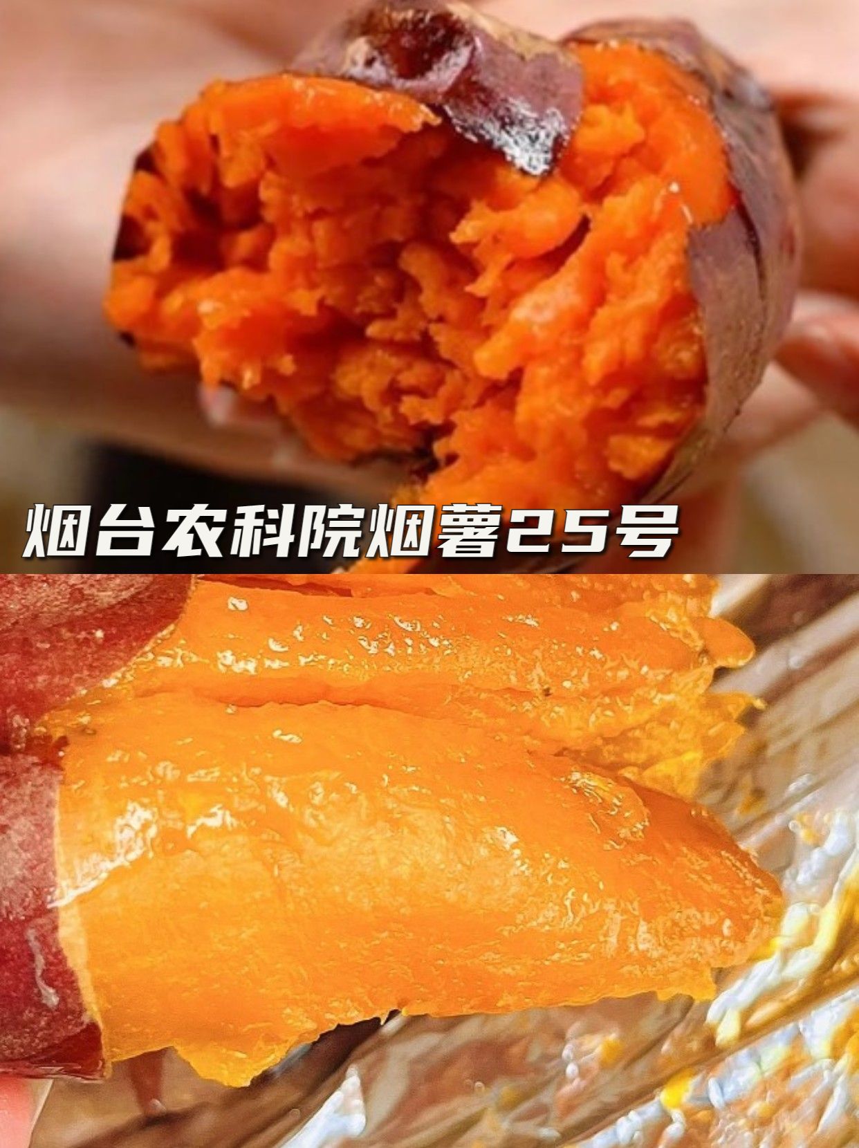 农学院食品特产大全,各大农科院食品大全